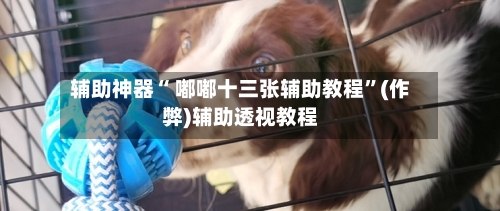 辅助神器“ 嘟嘟十三张辅助教程”(作弊)辅助透视教程-第3张图片