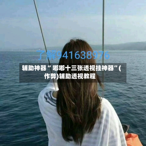 辅助神器“ 嘟嘟十三张透视挂神器”(作弊)辅助透视教程-第2张图片