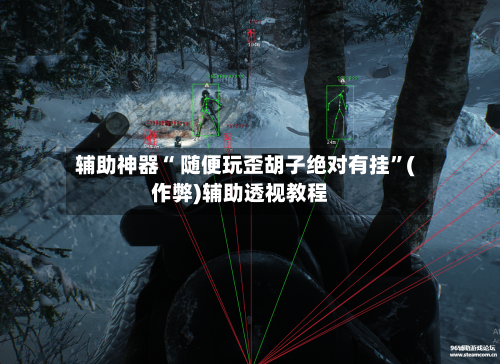 辅助神器“ 随便玩歪胡子绝对有挂”(作弊)辅助透视教程-第2张图片