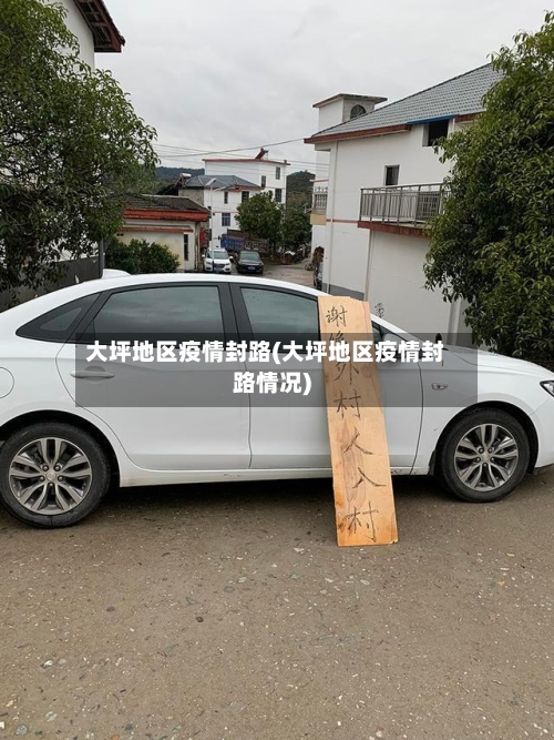 大坪地区疫情封路(大坪地区疫情封路情况)