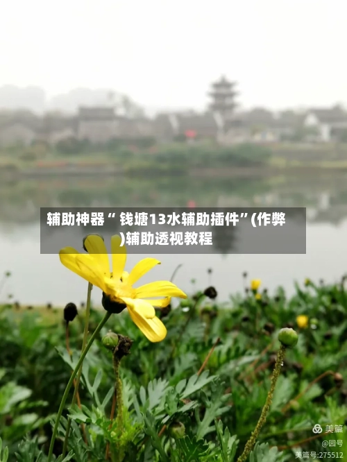 辅助神器“ 钱塘13水辅助插件”(作弊)辅助透视教程