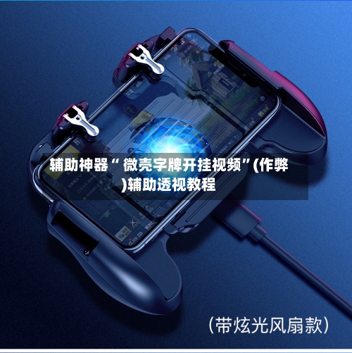 辅助神器“ 微壳字牌开挂视频”(作弊)辅助透视教程