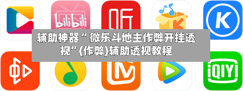 辅助神器“ 微乐斗地主作弊开挂透视”(作弊)辅助透视教程-第2张图片