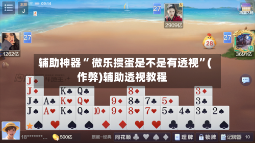 辅助神器“ 微乐掼蛋是不是有透视”(作弊)辅助透视教程-第2张图片