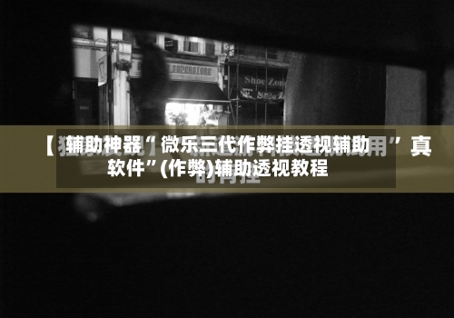 辅助神器“ 微乐三代作弊挂透视辅助软件”(作弊)辅助透视教程-第3张图片