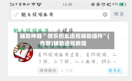 辅助神器“ 微乐创幺透视辅助插件”(作弊)辅助透视教程-第2张图片