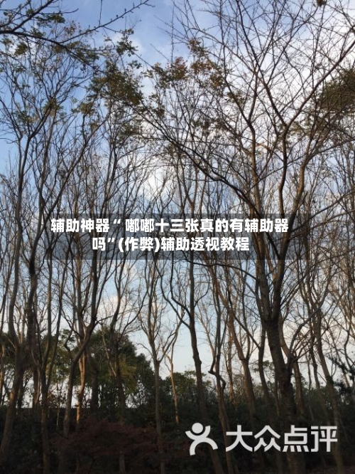 辅助神器“ 嘟嘟十三张真的有辅助器吗”(作弊)辅助透视教程-第2张图片