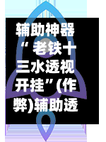 辅助神器“ 老铁十三水透视开挂	”(作弊)辅助透视教程-第2张图片