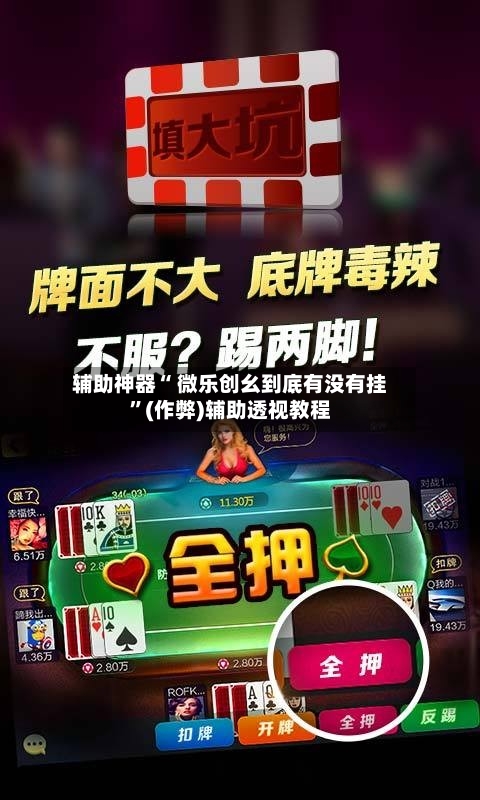 辅助神器“ 微乐创幺到底有没有挂”(作弊)辅助透视教程-第2张图片