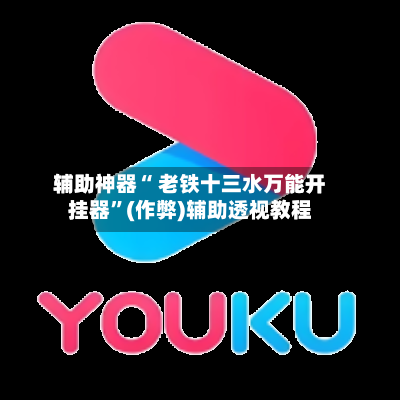 辅助神器“ 老铁十三水万能开挂器	”(作弊)辅助透视教程-第3张图片