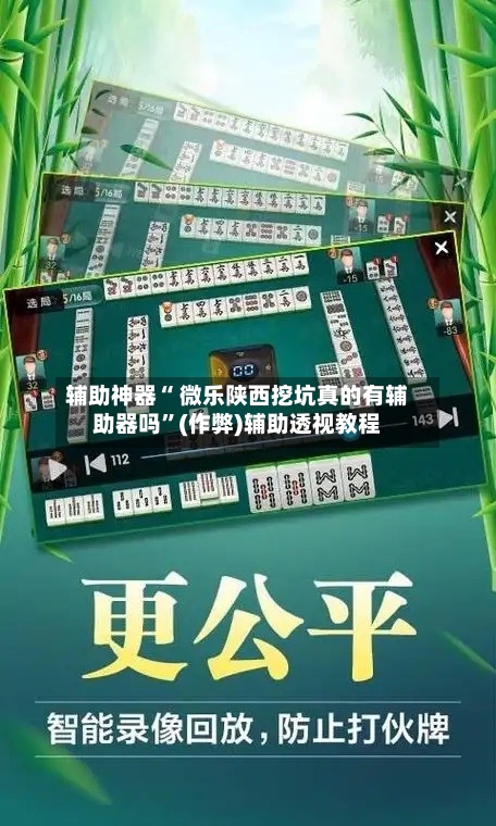 辅助神器“ 微乐陕西挖坑真的有辅助器吗”(作弊)辅助透视教程-第3张图片